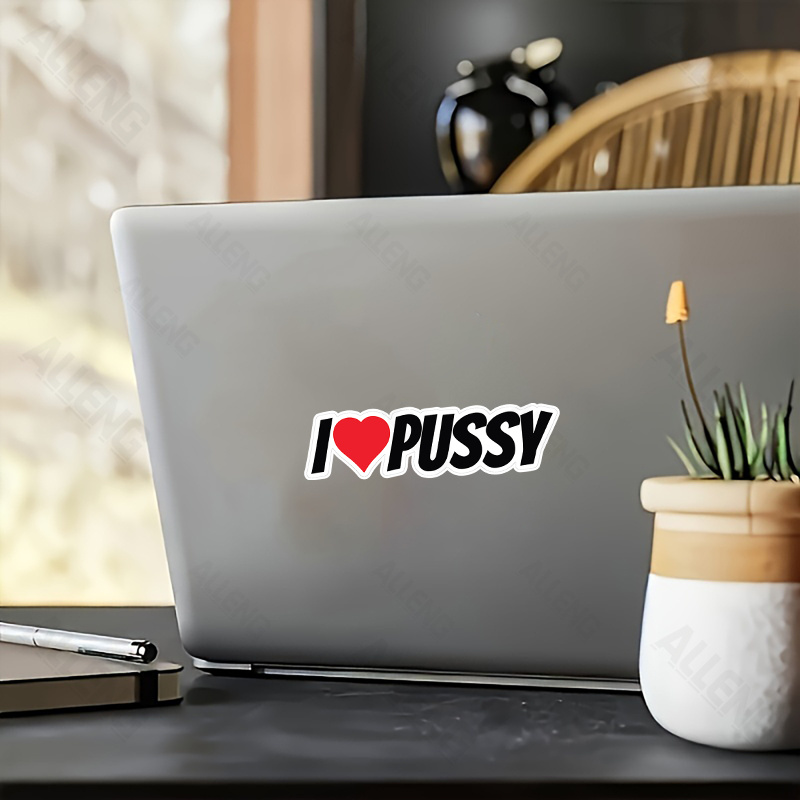 Laptop External Accessories - Pack of 3 I Love Pussy