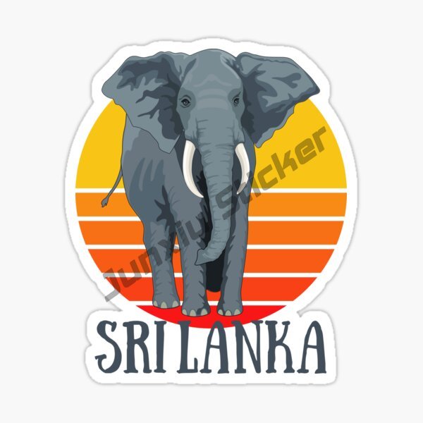 Fashion Car Sticker Sri Lanka  - đánh giá và giá Laptop Accessories Sri Lanka