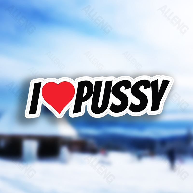 Pack of 3 I Love Pussy Fun Vin - đánh giá và giá Laptop External Accessories
