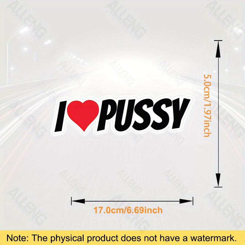 Pack of 3 I Love Pussy Fun Vin - đánh giá và giá Laptop External Accessories