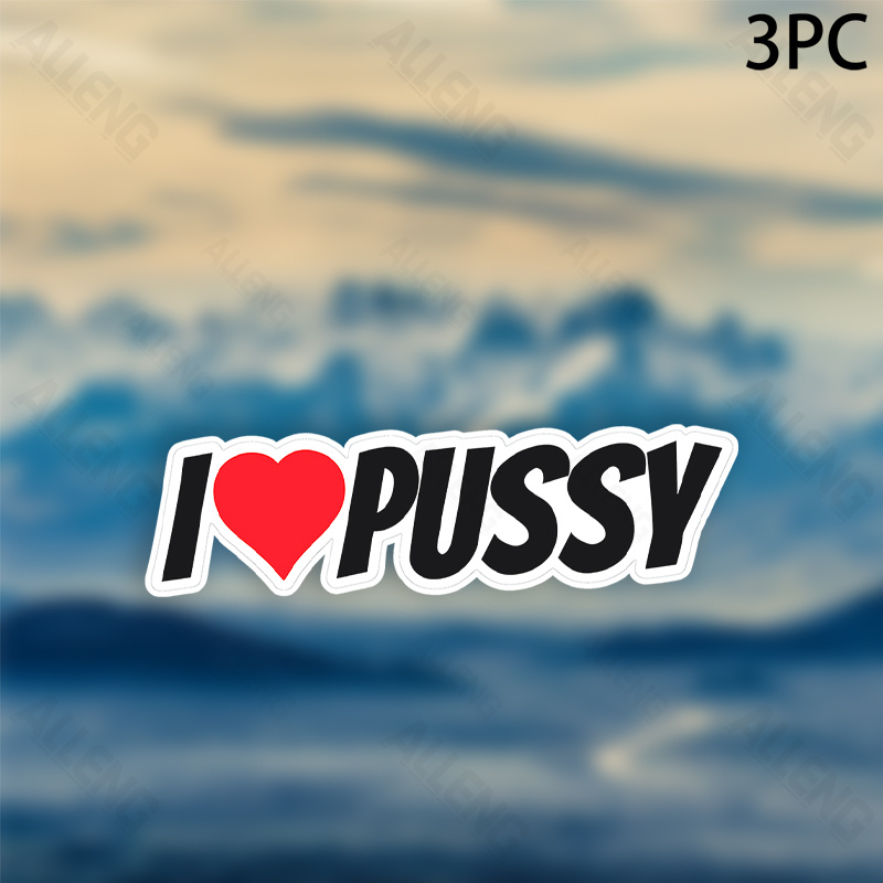 Pack of 3 I Love Pussy Fun Vin - đánh giá và giá Laptop External Accessories